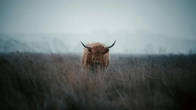 Bitcoin: Bitcoin's 44% Gain in Third Quarter Signals Potential Bull Run news card image