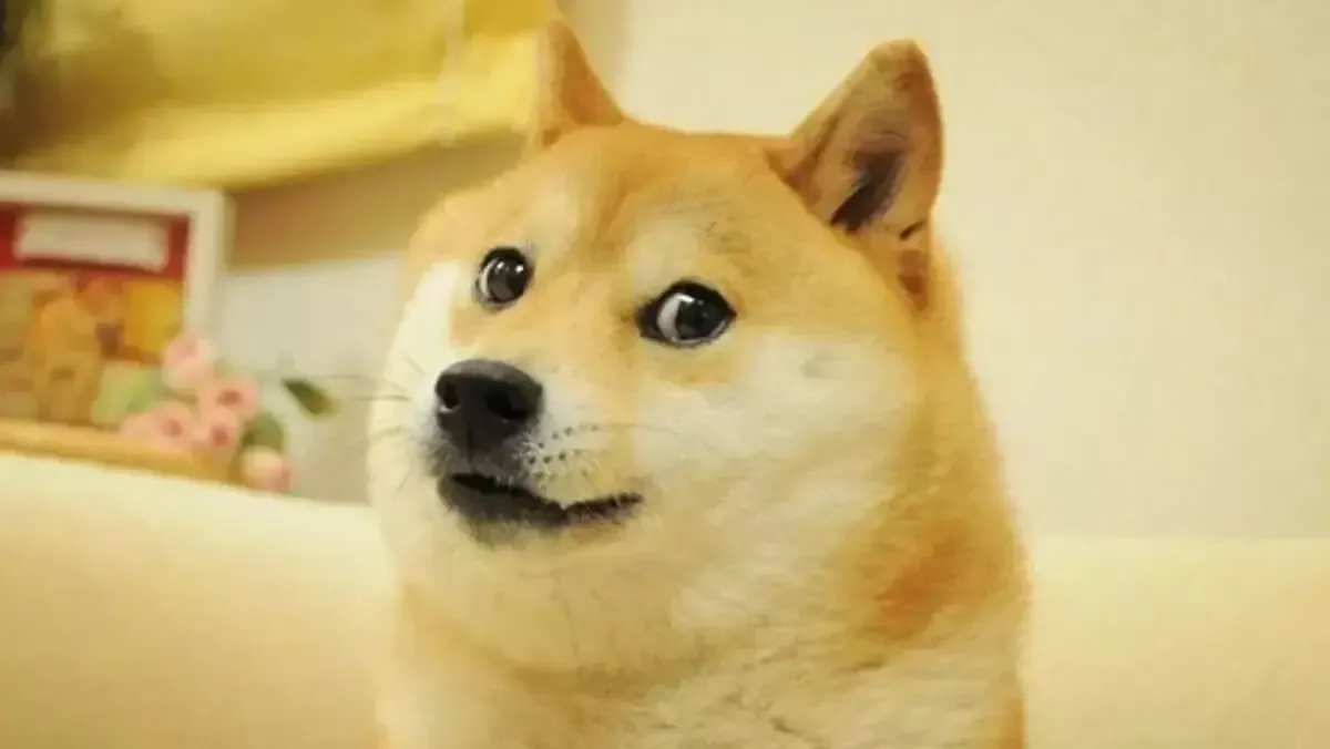 Altcoin: Dogecoin, Memecoin Olmaktan Çıkıyor: DogeOS Test Ağı Başlatıldı haber görseli